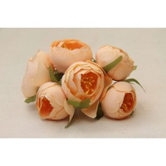 Ранункулюсы ( пионы ) на ножке