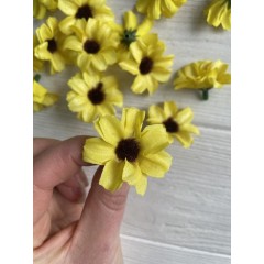 Маргаритки головки