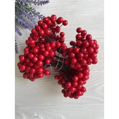 Калина лаковая ( глянцевая )