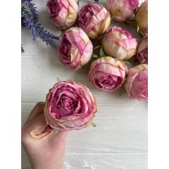 Роза головка "Королевская"
