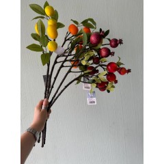 Большие ветки с фруктами и цветами