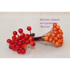 Калина ЛАКОВАЯ МЕЛКАЯ   ,   красно - оранжевая          500 шт