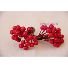 Калина лакова дрібна , червона 500 шт