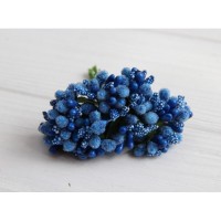 Добавка звичайна , синяя 12 шт