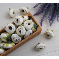 Ранункулюс бутон No1, молочний 100 шт.