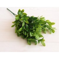 Зелень "Лавр" зелений глянсовий