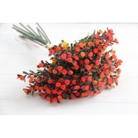 Зелень " Гипсофила ВЕТОЧКОЙ " красно - оранжевая 10 шт