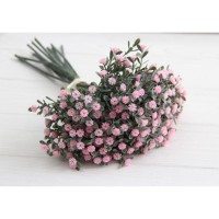 Зелень " Гипсофила ВЕТОЧКОЙ " розовая 10 шт