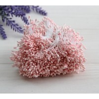 Тычинки двухсторонние ,  персиково - розовые     1650 - 1700 нитей