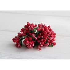 Добавка обычная  , коралловая 12 шт