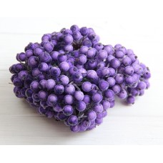 Калина сахарная ,   фиолетовая             400 шт