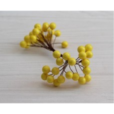 Калина ЛАКОВАЯ КРУПНАЯ  ,  желтая           400 шт