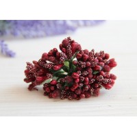 Додаток звичайний бордо 12 шт