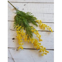 Гілка мімози