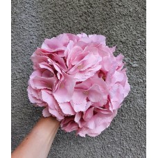 Гортензия головка большая  , розовая