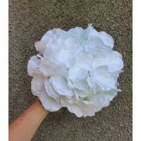 Гортензия головка большая  , белая