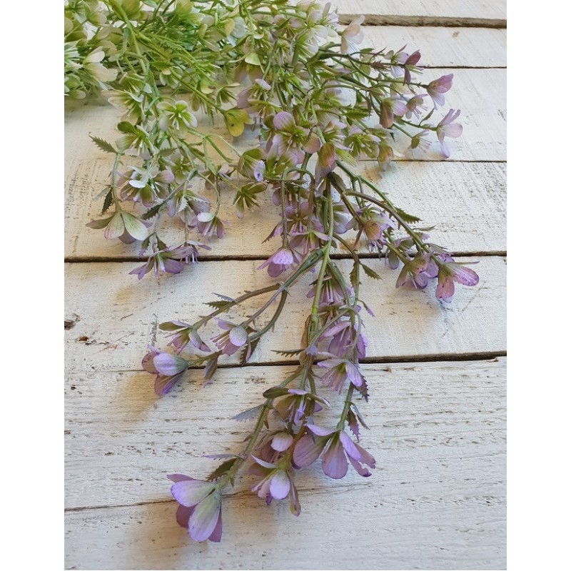 Зелень кучерява " Гілка з квітами" зелена з фіолетовим