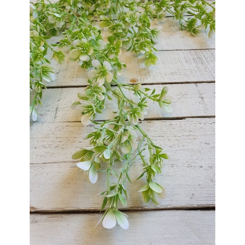 Зелень кучерява " Гілка з квітами" зелена з білим