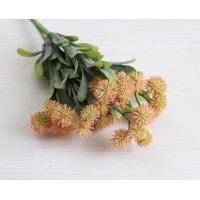 Зелень "Кульбаба" , помаранчева