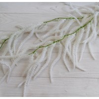 Зелень вьющаяся " Глициния " белая