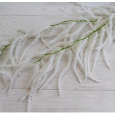 Зелень вьющаяся " Глициния " белая