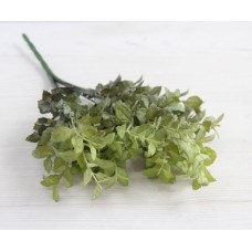 Зелень "  Рускус     "   зеленая