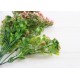 Зелень "  Глянцевая с ягодками      "  зеленая с розовым
