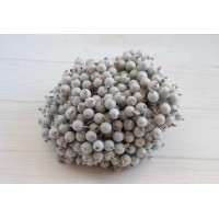 Калина цукрова, срібло 400 шт.