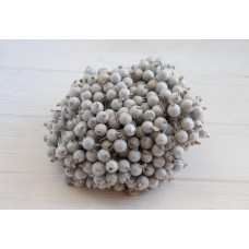 Калина сахарная ,   серебро             400 шт