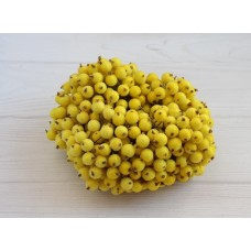 Калина сахарная ,   желтая                 400 шт