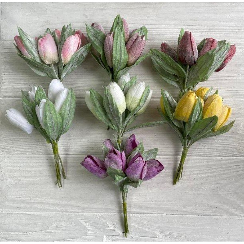 Тюльпани букет, кремові 24 шт.