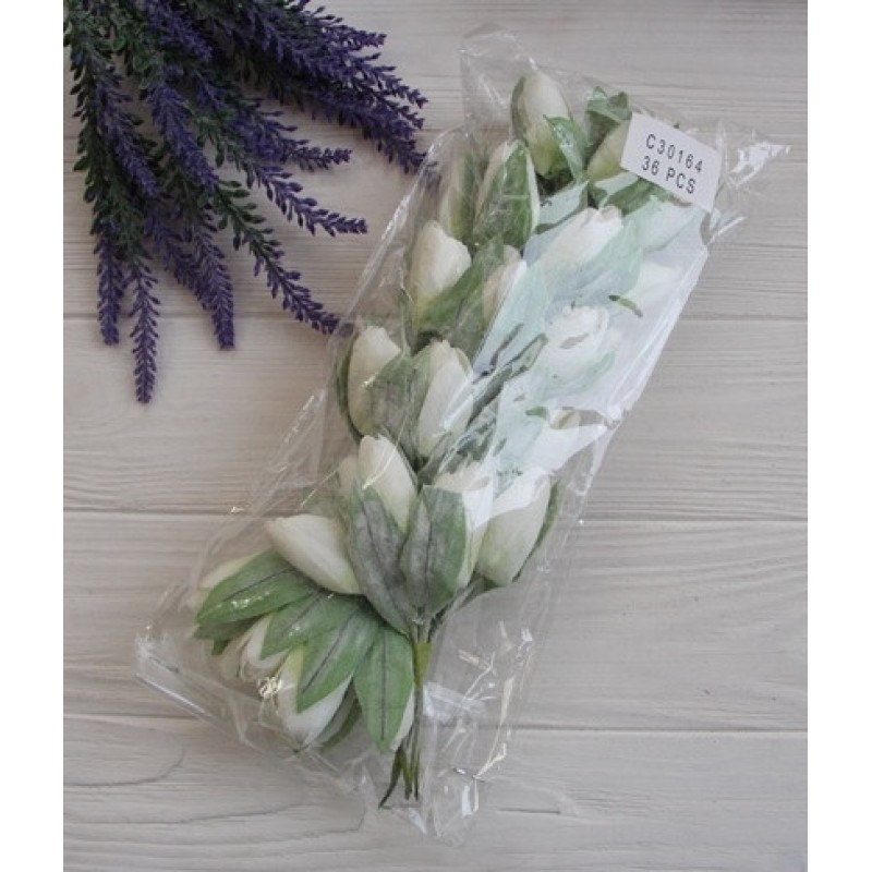 Тюльпани букет, кремові 24 шт.