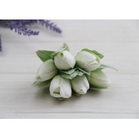 Тюльпани букет, кремові 24 шт.