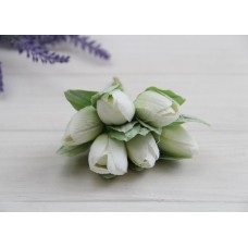 Тюльпани букет, кремові 24 шт.