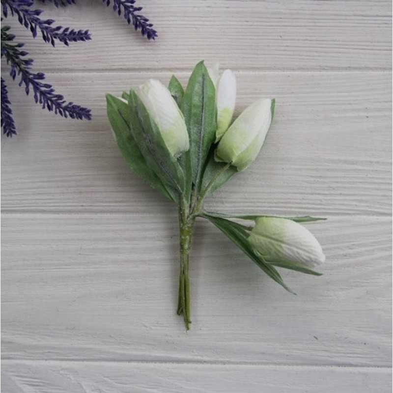 Тюльпани букет, кремові 24 шт.