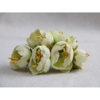 Ранункулюс букет МАЛЕНЬКИЙ , фисташковый     60 шт