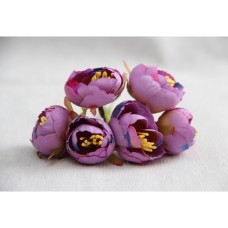 Ранункулюс букет МАЛЕНЬКИЙ , фиолетовый    60 шт