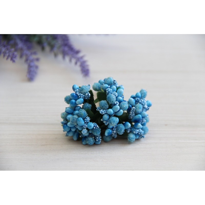 Добавка звичайна , небесна 12 шт