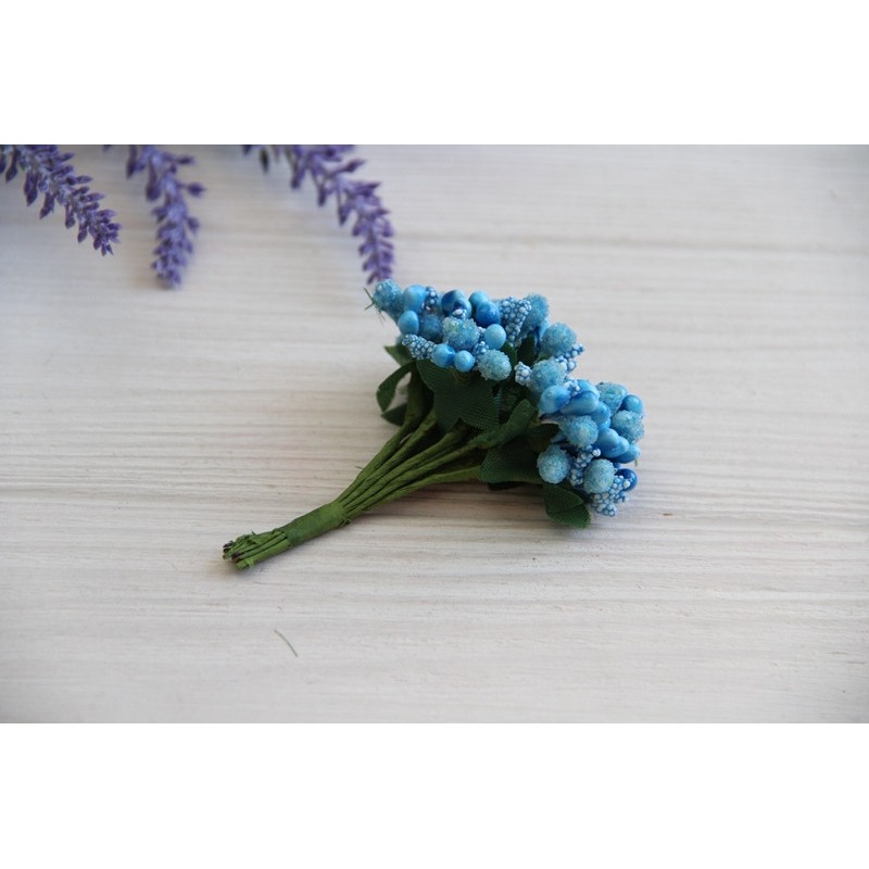 Добавка звичайна , небесна 12 шт