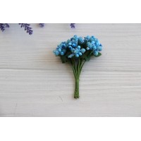 Добавка звичайна , небесна 12 шт