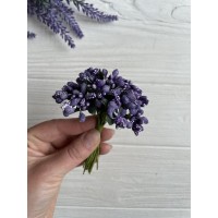 Добавка обычная  ,  светло -фиолет    12 шт