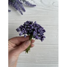 Добавка обычная  ,  светло -фиолет    12 шт