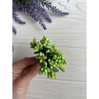 Добавка звичайна , салатовая 12 шт