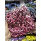 Маргаритка  головка  ,   малиновая     УПАКОВКА 200 шт