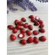 Божьи коровки  деревянные 1,6 * 0,9 см      УПАКОВКА  24  шт