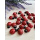 Божьи коровки  деревянные 2,3 * 1,8  см      УПАКОВКА  24  шт