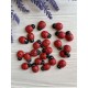 Божьи коровки  деревянные 2,3 * 1,8  см      УПАКОВКА  24  шт