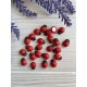 Божьи коровки  деревянные 1,2 * 0,9 см      УПАКОВКА  24  шт