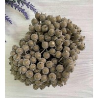 Калина цукрова, золото 400 шт.
