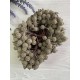 Калина цукрова, золото 400 шт.